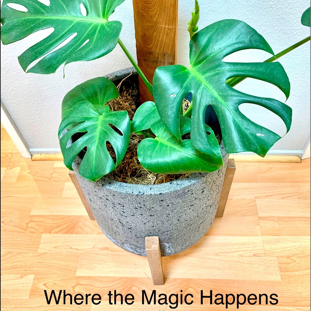 “These streets will make you feel brand new . . . Big lights will inspire you.”